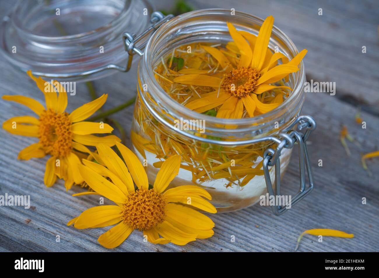 Arnika Tinktur Arnikatinktur Arnika Echte Arnika Bergwohlverleih Berg Wohlverleih Tinktur Aus Arnika Tinkturen Arnica Montana Arnica Leopard Stock Photo Alamy Arnika Tinktur Arnikatinktur Arnika Echte Arnika Bergwohlverleih Berg Wohlverleih Tinktur Aus Arnika Tinkturen Arnica Montana Arnica Leopard Stock Photo Alamy