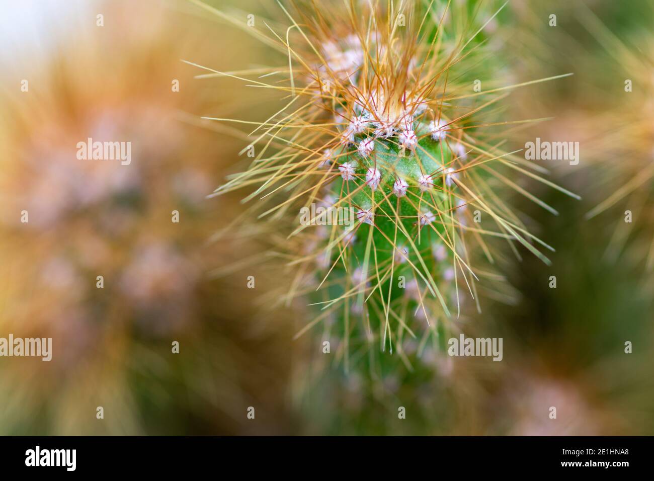 Harsh living conditions hires stock photography and images Alamy