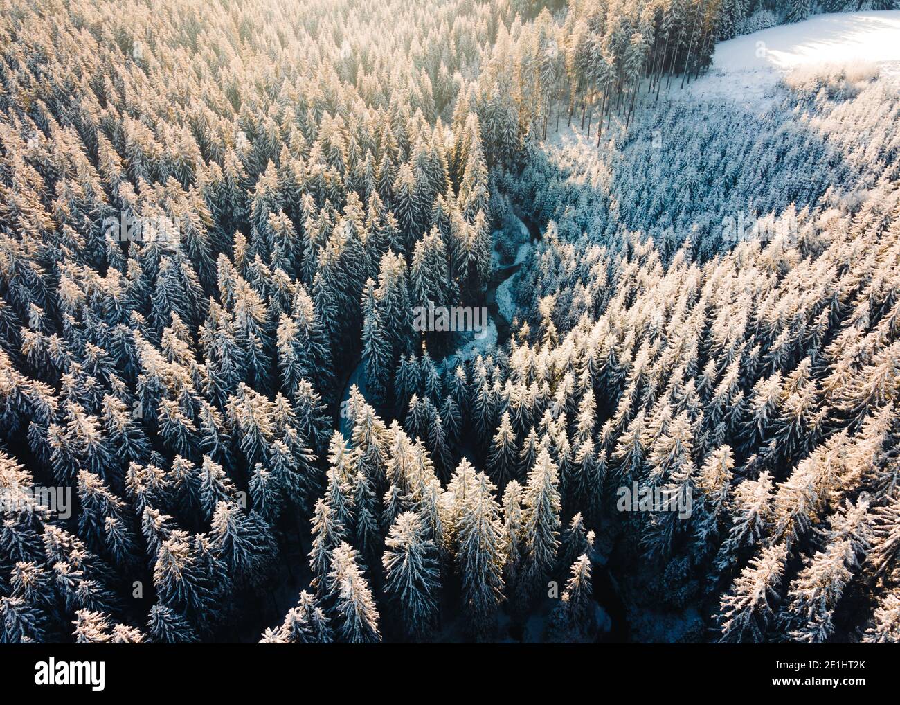 High quality aerial photo of a deep forest covered in the snow in the central Europe. Arctic aerial winter in the woods Stock Photo