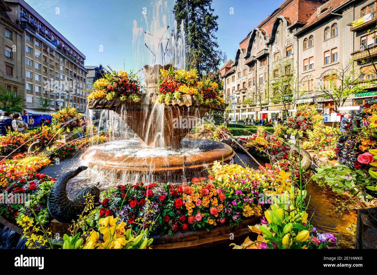 Victoria square and his main fountain decorated with flowers, Timisoara, Timis County, Romania. Photo taken on 21st of April 2019. Stock Photo