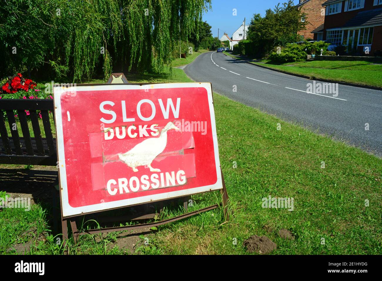 duck crossing warning sign in the village of muston yorkshire united kingdom Stock Photo
