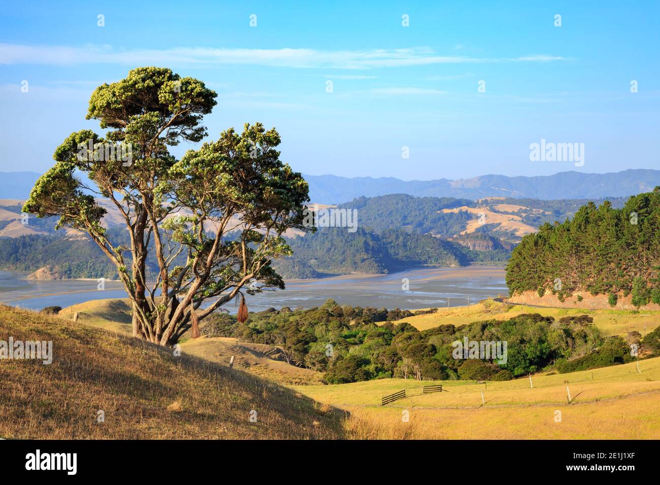 The view from the Manaia Road saddle in the Coromandel Peninsula, New