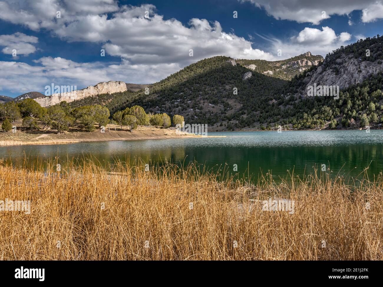 Cave Lake State Park, Schell Creek Range, near Ely, Great Basin, Nevada