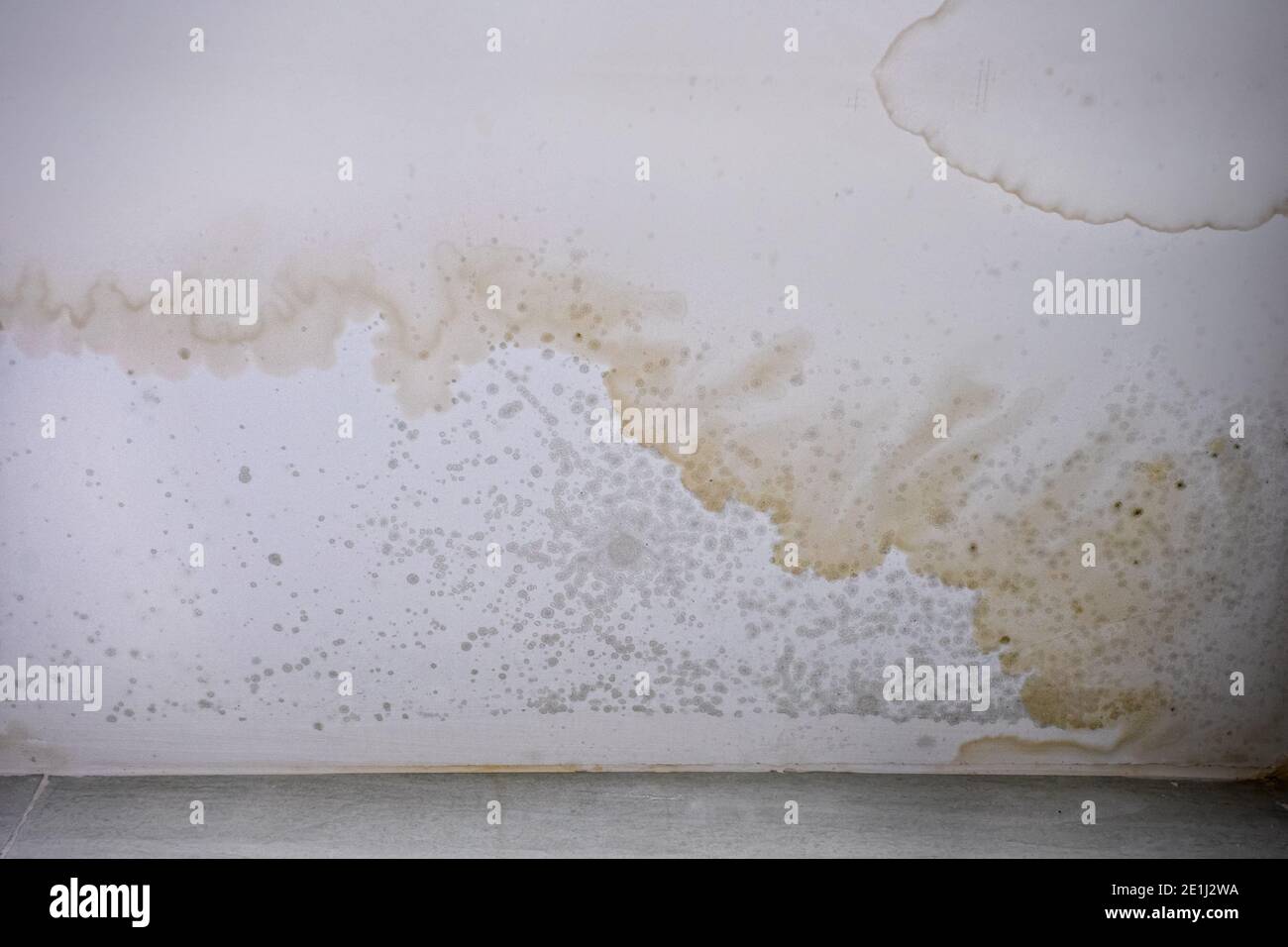 Brown stain of indoor mold and fungus on the ceiling. Effects of