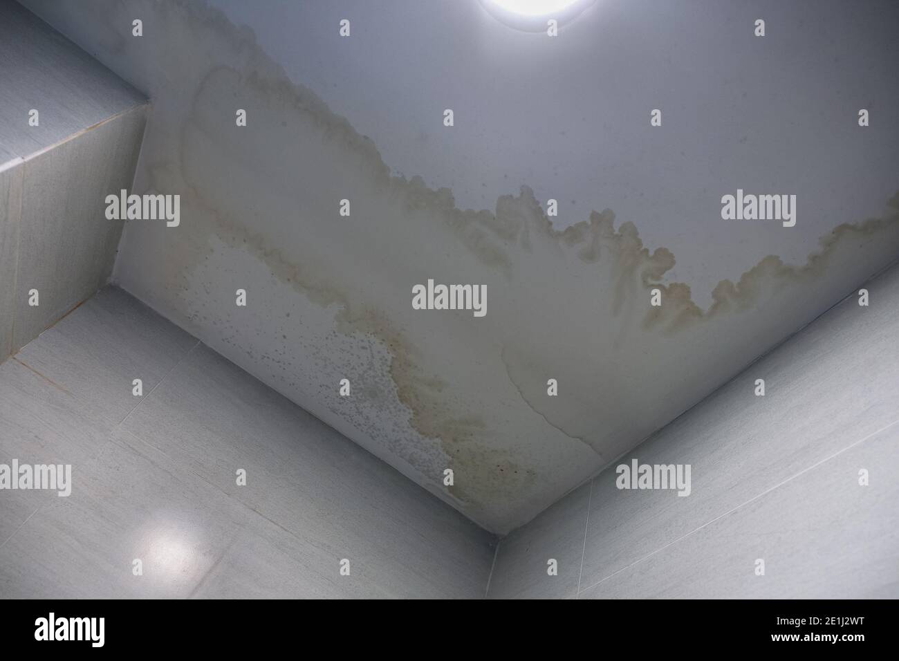 Water stain on the home ceiling.  Concept of condensation, damp, water infiltration, high humidity and respiratory problems. Stock Photo