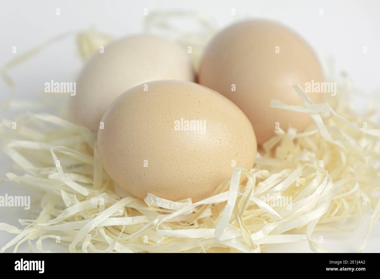 Chicken eggs in a nest of straw on white background Stock Photo - Alamy