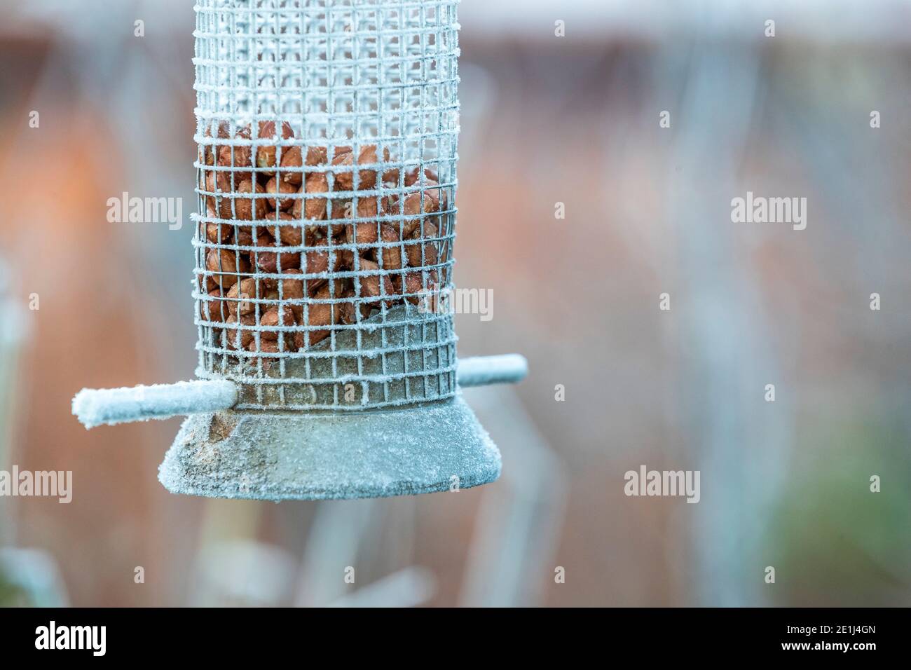 Important to keep bird feeders well stocked in winter as small garden