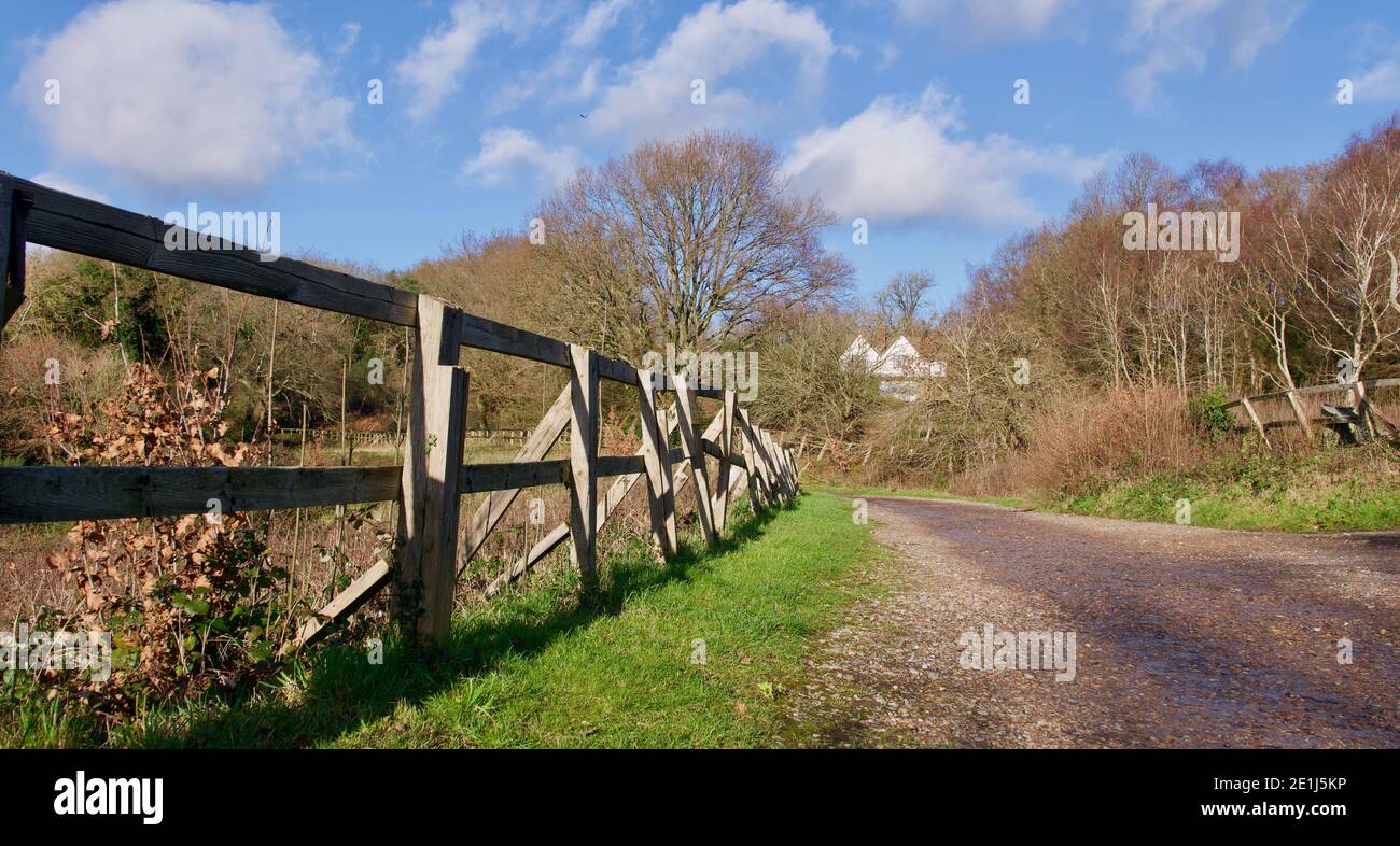 Country scene showing pathway with house in distance concealed by trees Stock Photo