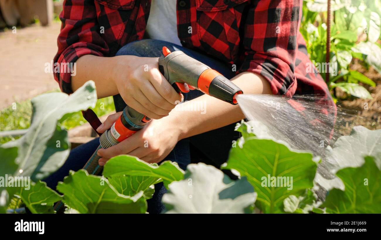 Vegetables slowmotion hi-res stock photography and images - Alamy