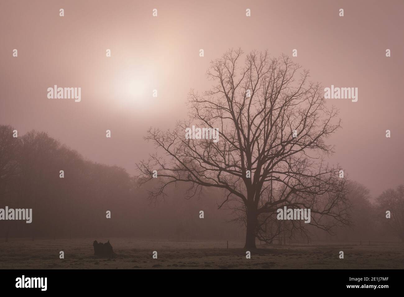 Fog shrouded landscape hi-res stock photography and images - Alamy
