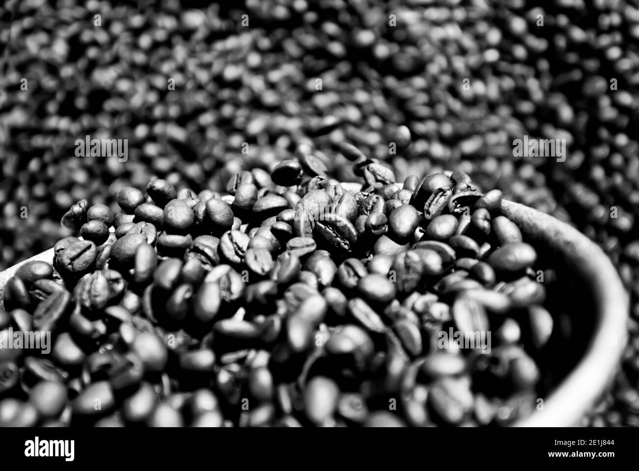 Coffee beans fresh roasted on silver scoop, abstract textures of roasting coffee beans, organic coffee. Close-up. Selective focus. Full frame. Stock Photo