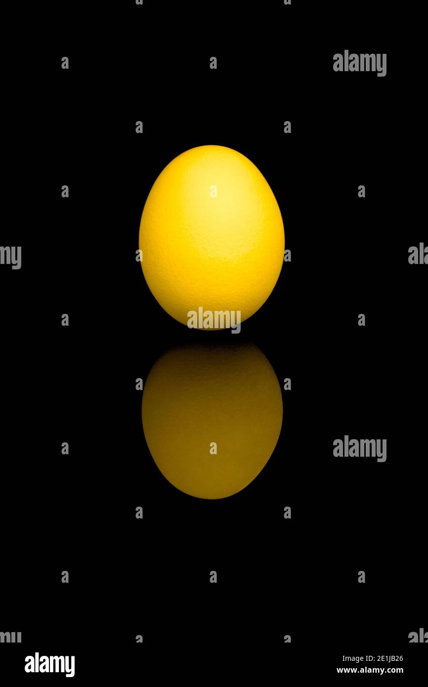 Golden egg with reflection, isolated on black background. Stock Photo