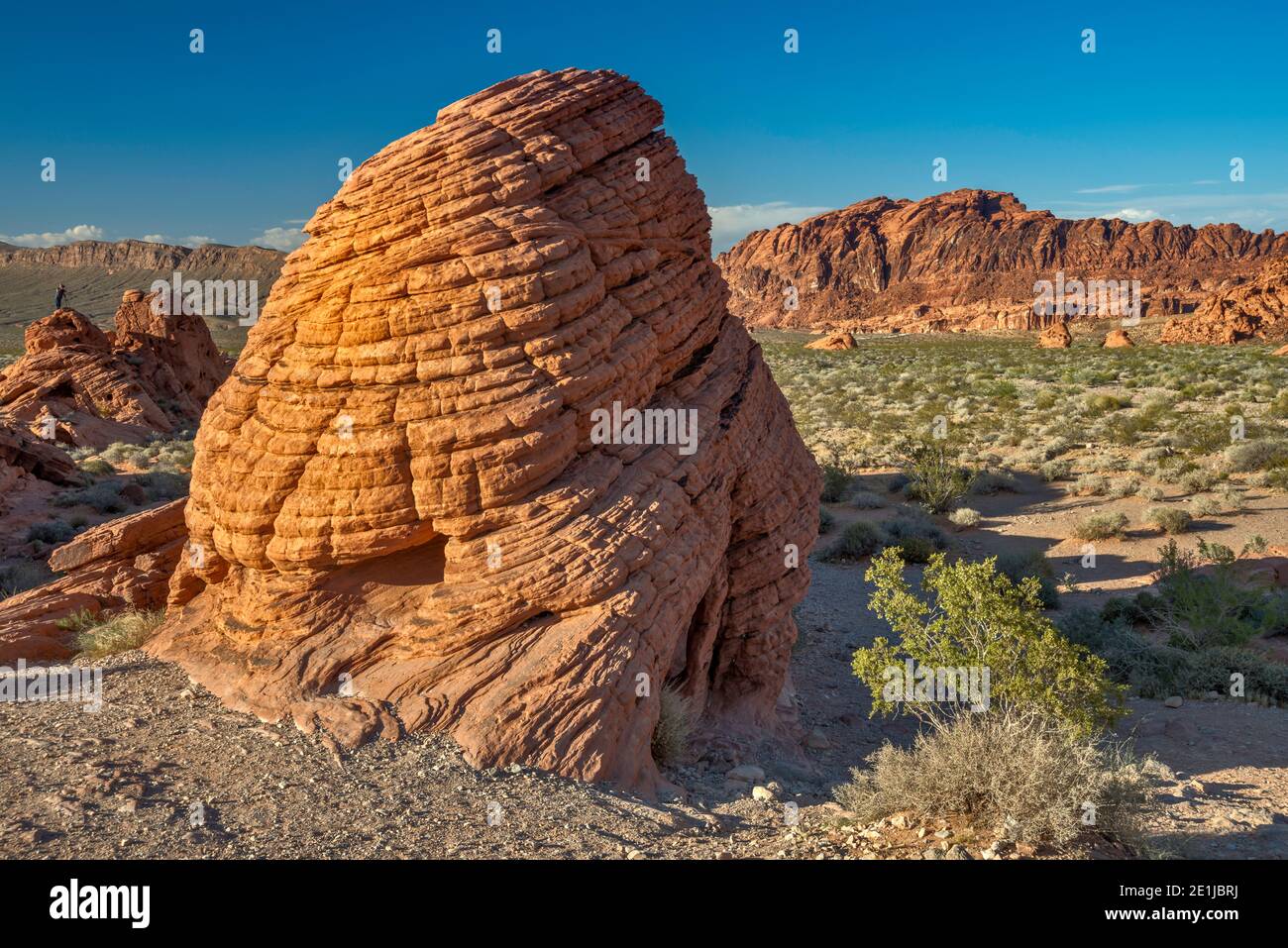 Beehives, crossbedded sandstone rock formation in Valley of Fire State Park, Mojave Desert, Nevada, USA Stock Photo