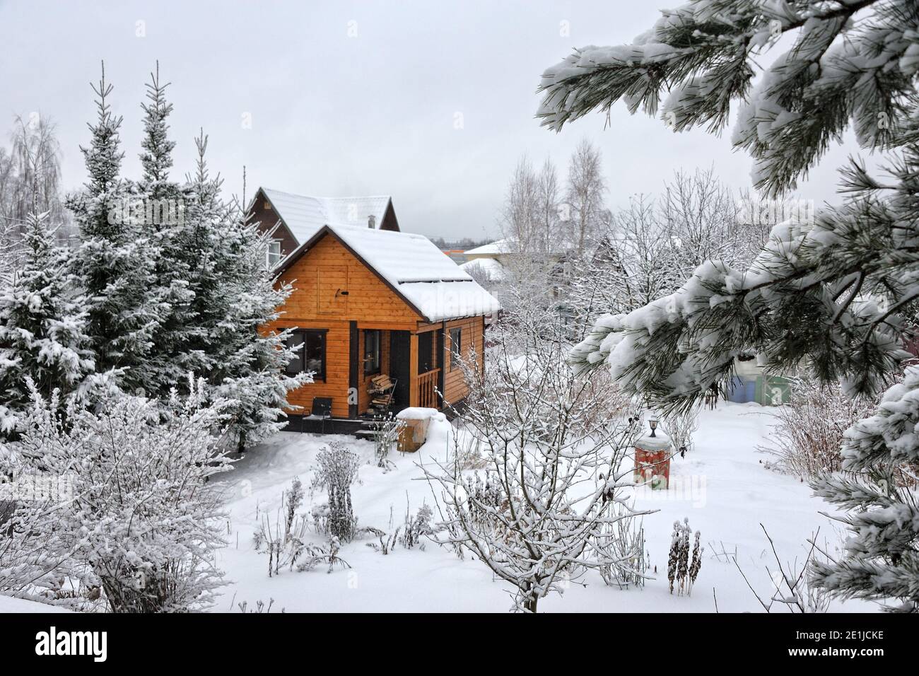 Wooden House Framed by Trees After Snowfall Stock Photo