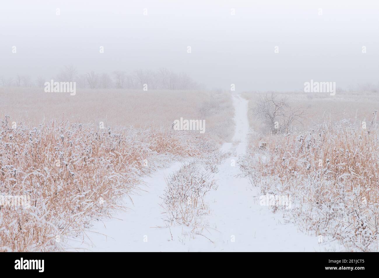 Illinois prairie grass hires stock photography and images Alamy
