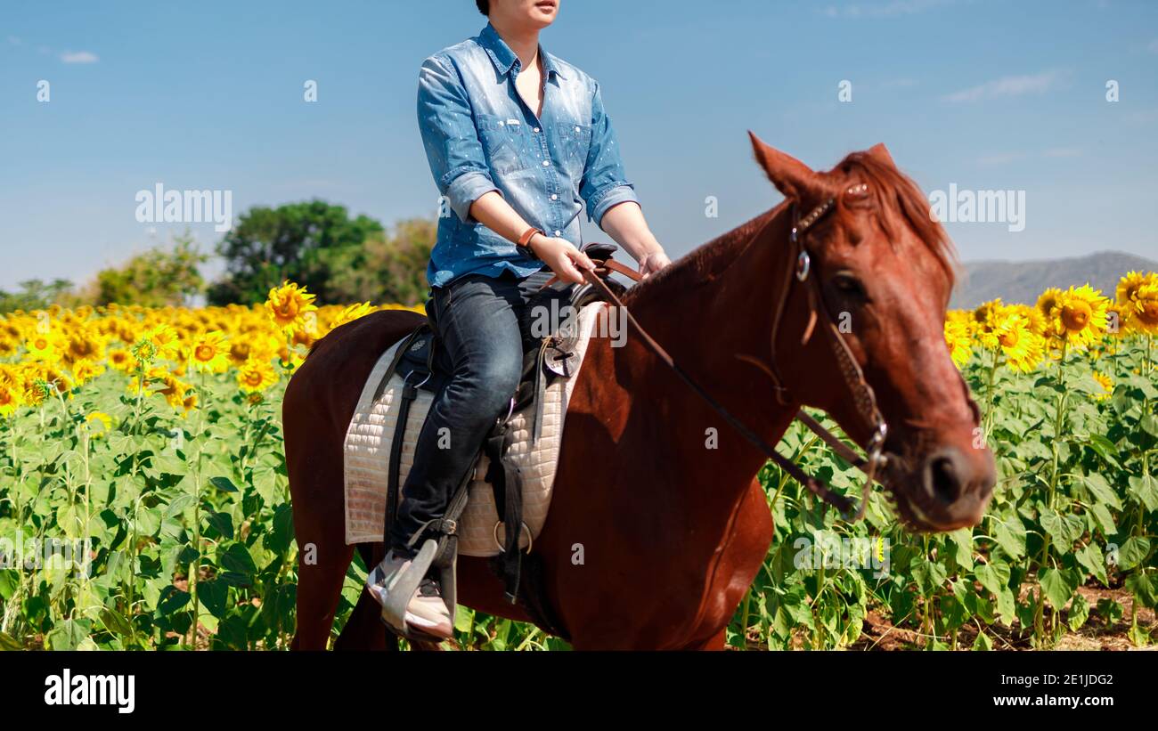 Man on a horse in the mountains hi-res stock photography and images - Alamy