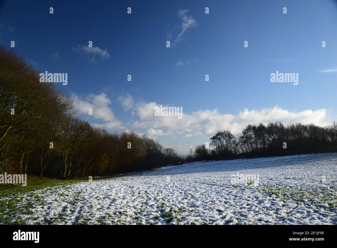 cold winters day, snow on the ground and deep blue sky with winter sunshine on rolling farmland
