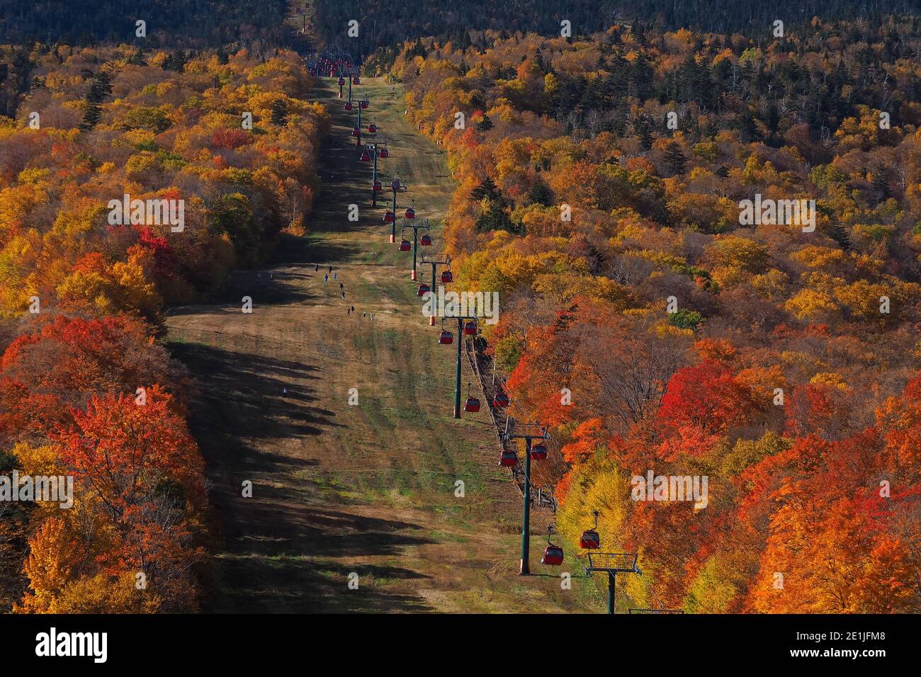 Cable car view. Fall colour seen from above, with telephoto lens, on Stowe Mountains in Vermont