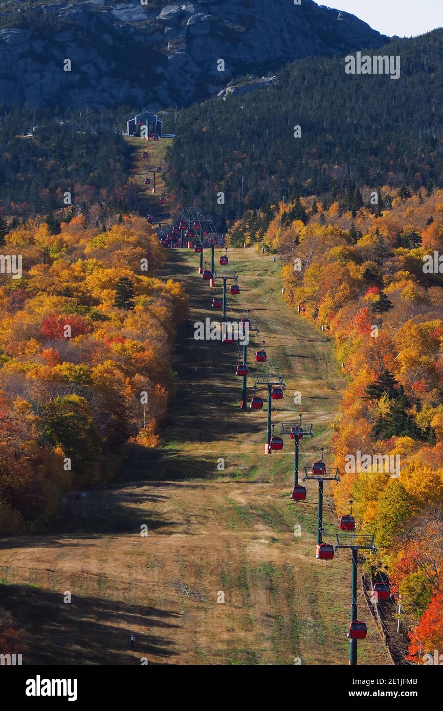 Cable car view. Fall colour seen from above, with telephoto lens, on