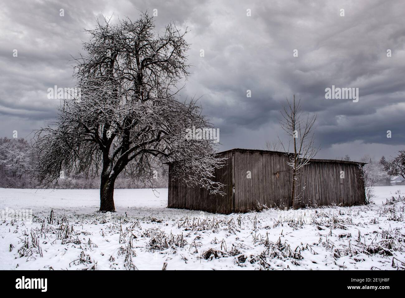 Walking through a snowy landscape Stock Photo