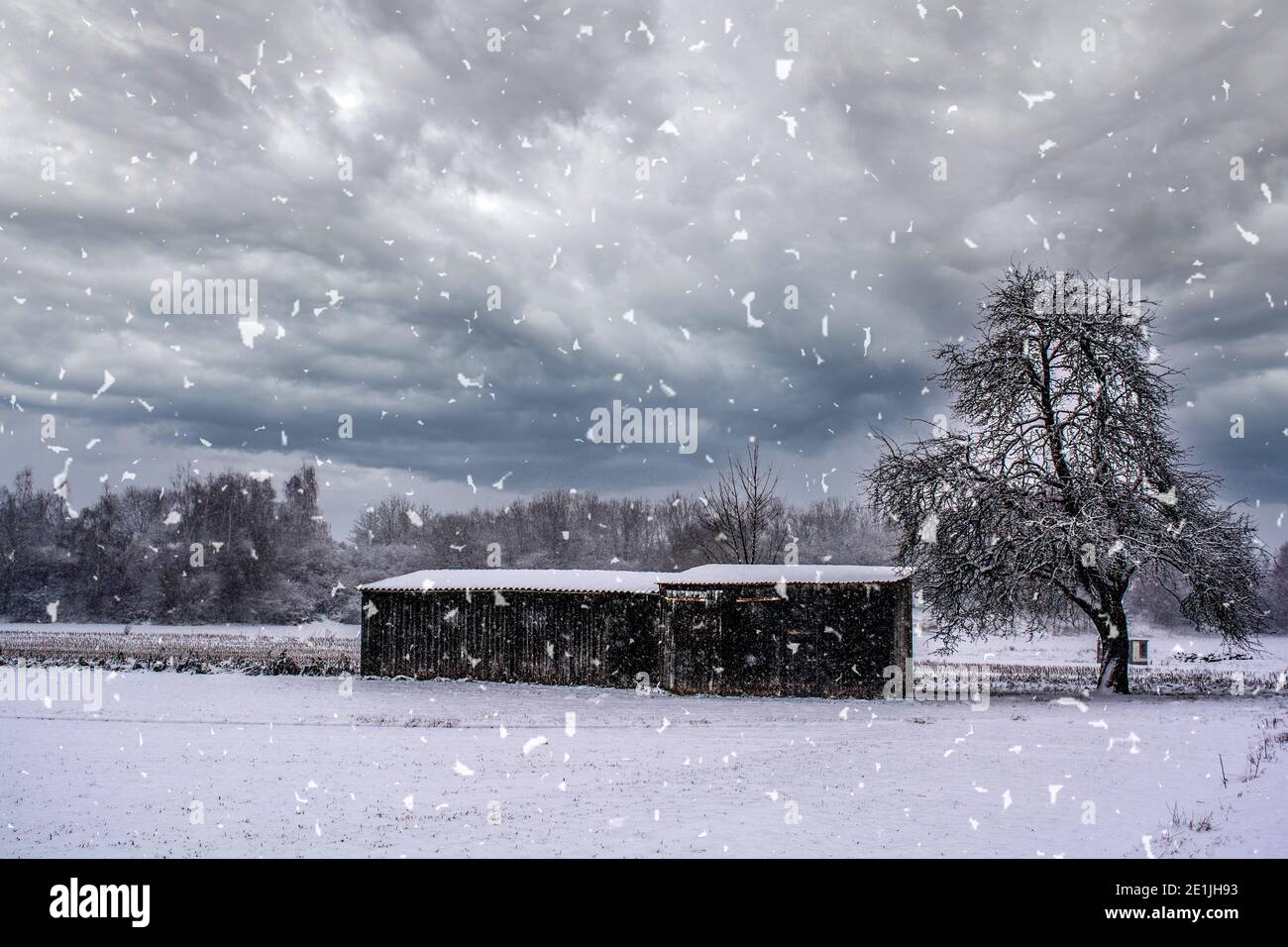 Swabian winter scenery Stock Photo