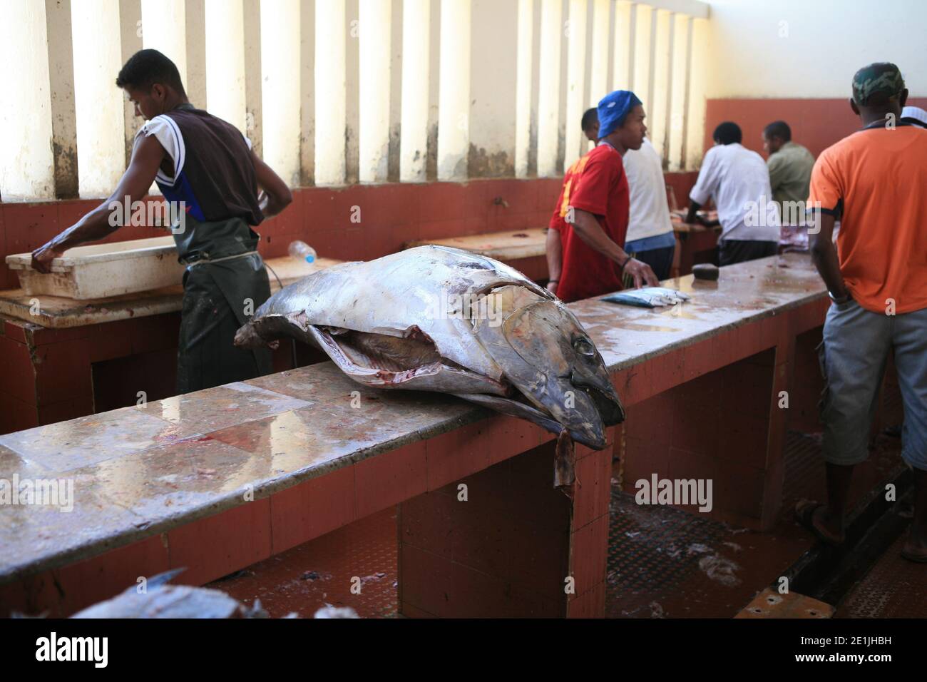 Freshly caught fish inside hi-res stock photography and images - Alamy