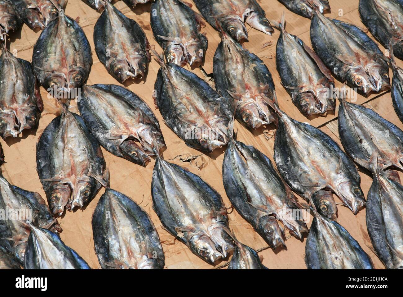 Gutted and split fish as the sun dries on the ground on top of cardboard on  the pier in the port of Mindelo at the fish market Stock Photo - Alamy