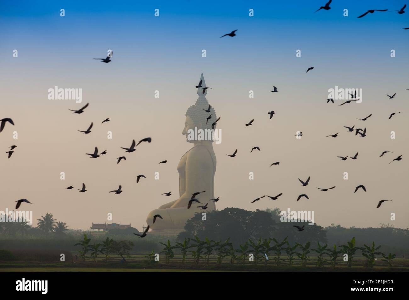 birds flying infront buddha Stock Photo