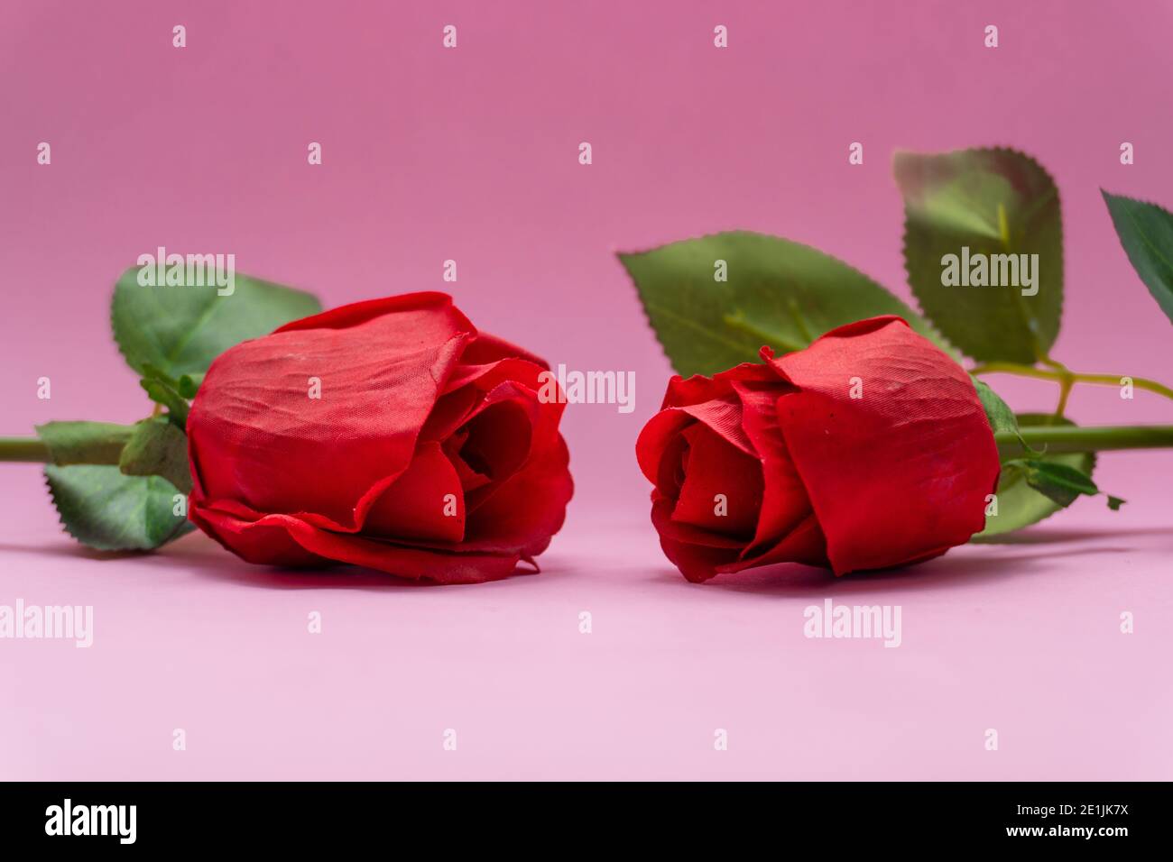 Red Roses For Friendship