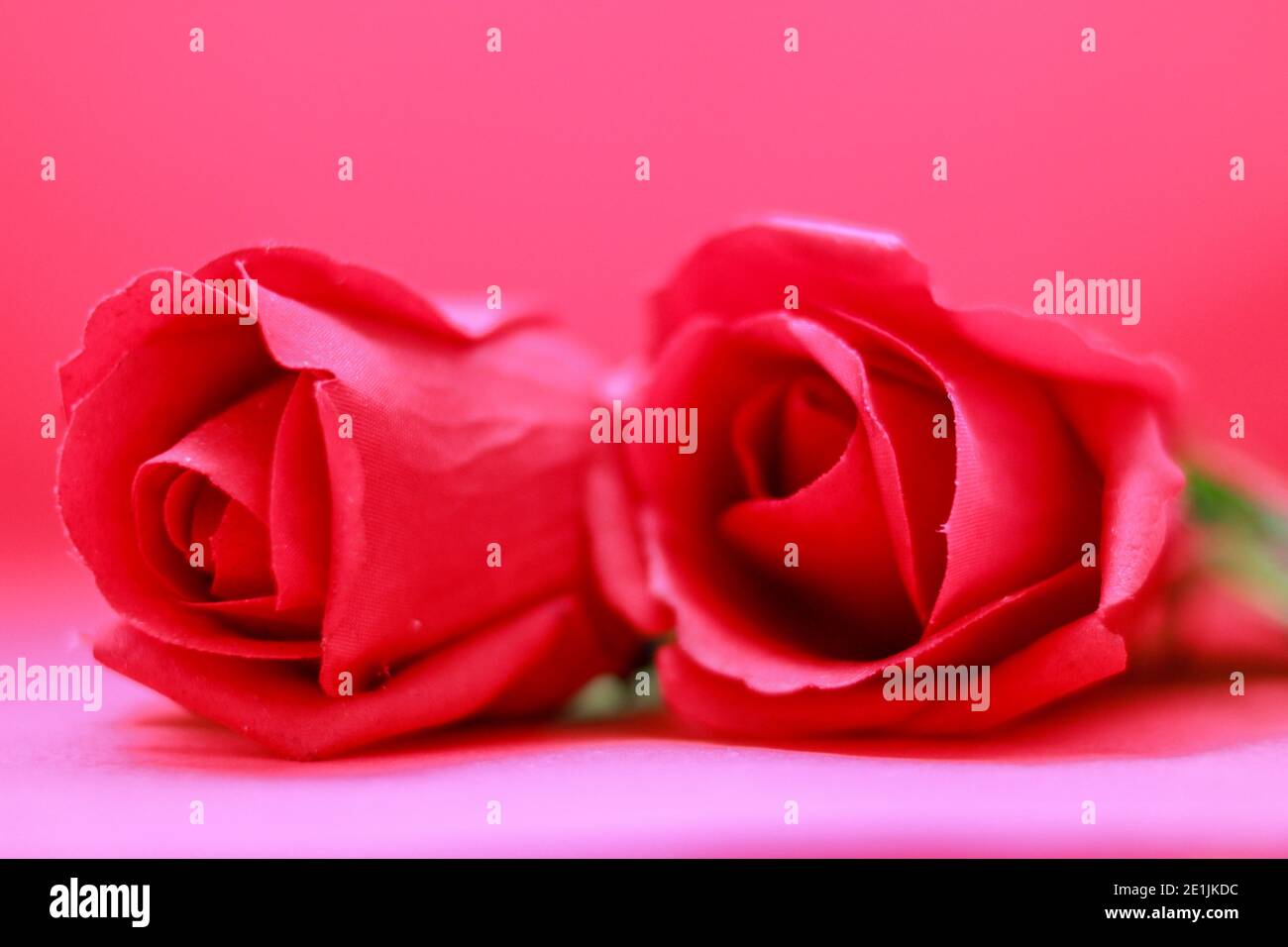 Red Roses For Friendship