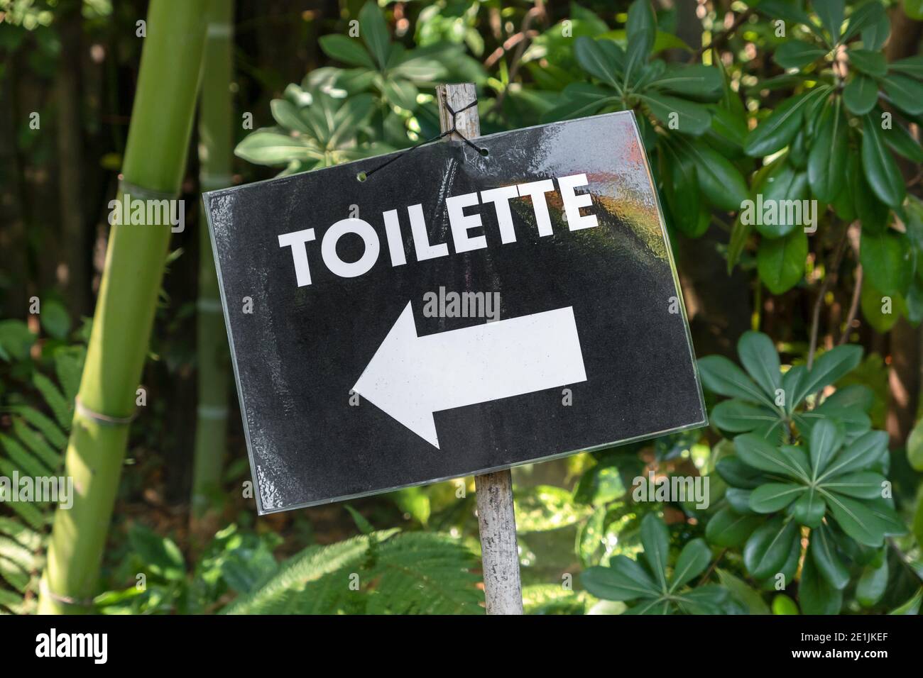 Plastic toilet sign with trees background. WC signpost for restroom. Stock Photo