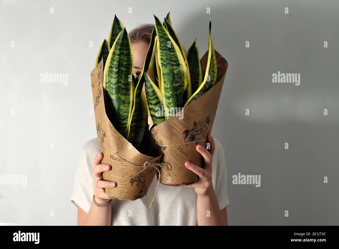 young woman holds two succulet house plants with yellow and green leaves - a new addition to her indoor garden Stock Photo