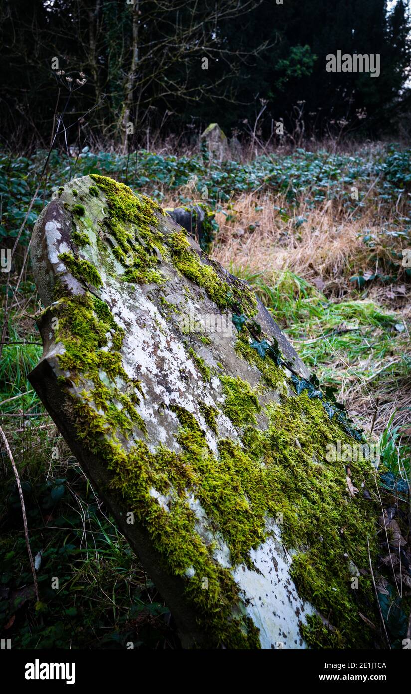 Graveyard moss hires stock photography and images Alamy