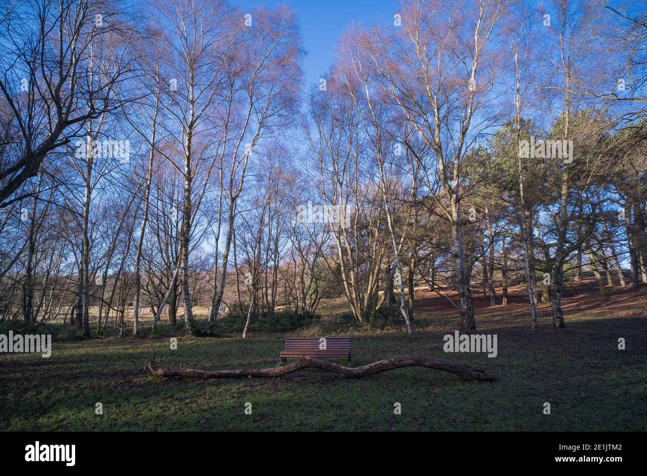 Sutton Park in Sutton Coldfield near Birmingham is 2000 acres of
