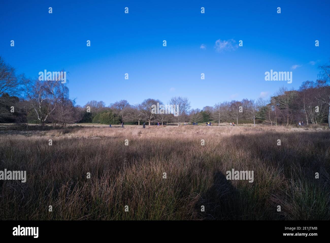 Sutton Park in Sutton Coldfield near Birmingham is 2000 acres of