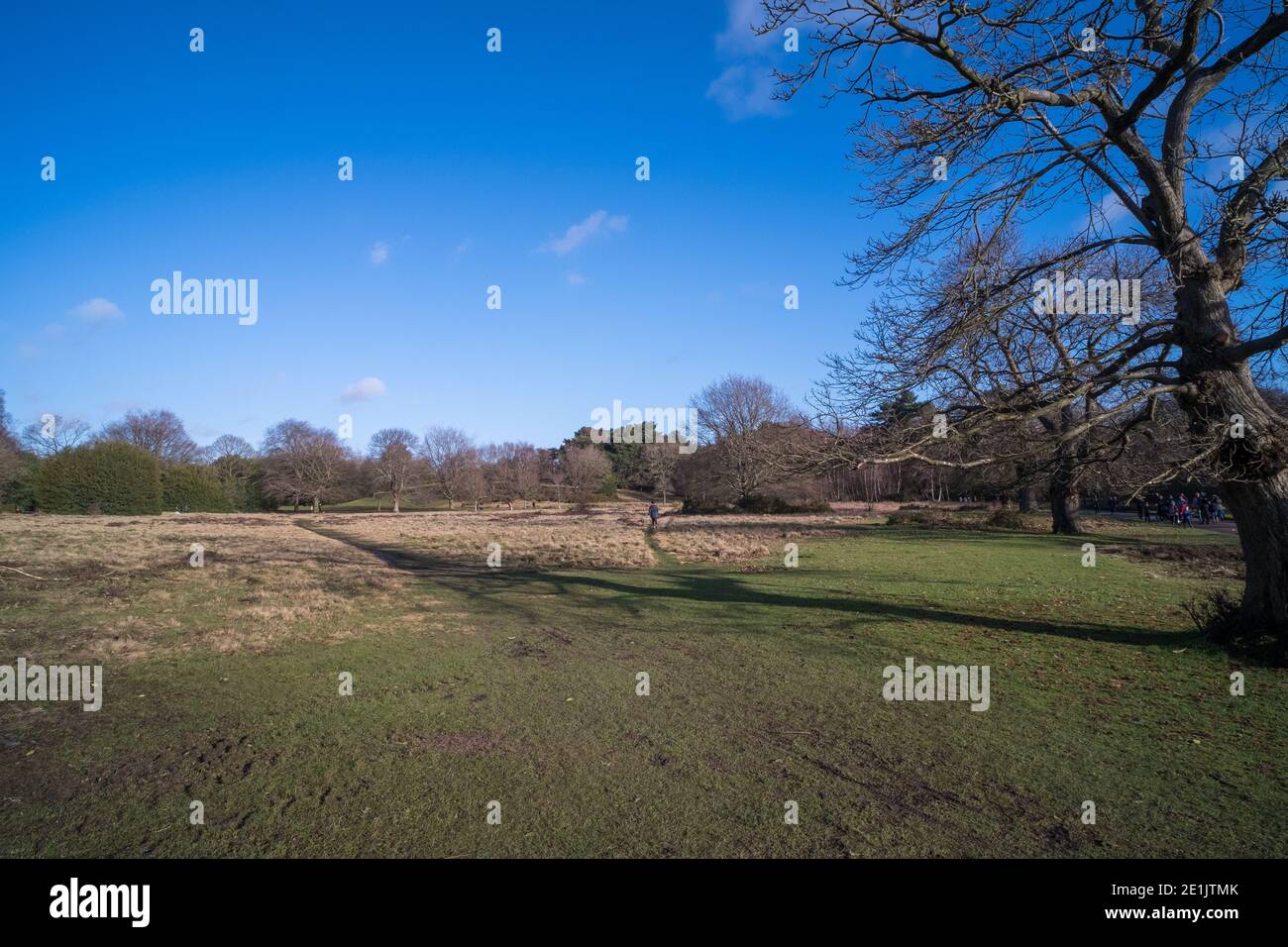 Sutton Park in Sutton Coldfield near Birmingham is 2000 acres of