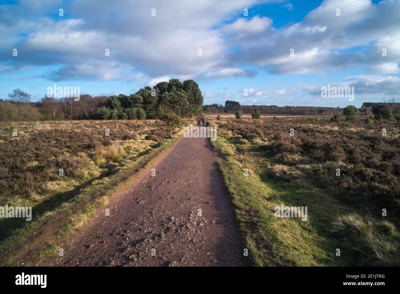 Sutton Park in Sutton Coldfield near Birmingham is 2000 acres of