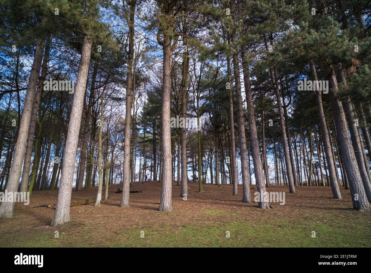 Sutton Park in Sutton Coldfield near Birmingham is 2000 acres of