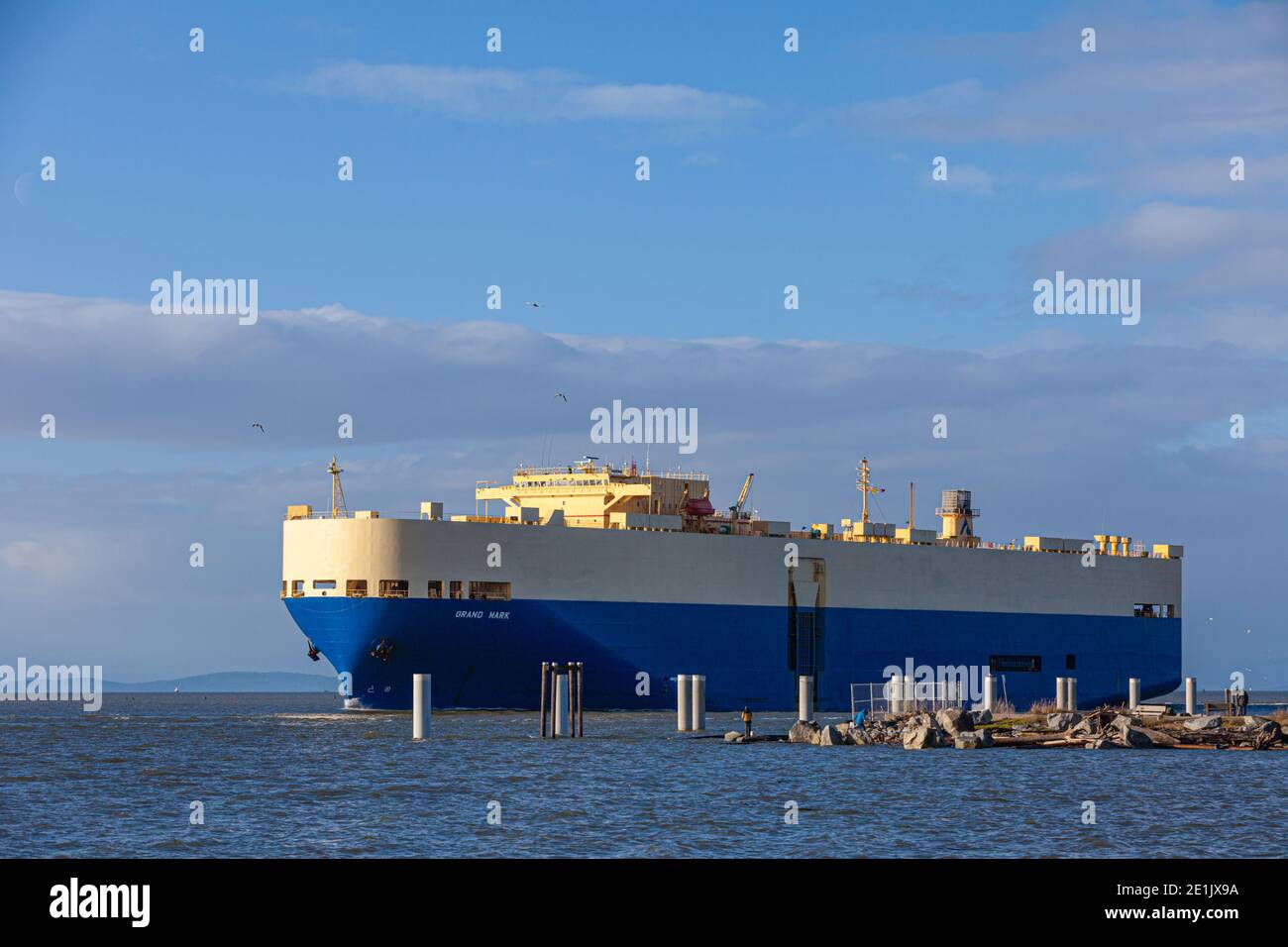 Large car carrying transport ship arriving in the Fraser River estuary from Asia Stock Photo