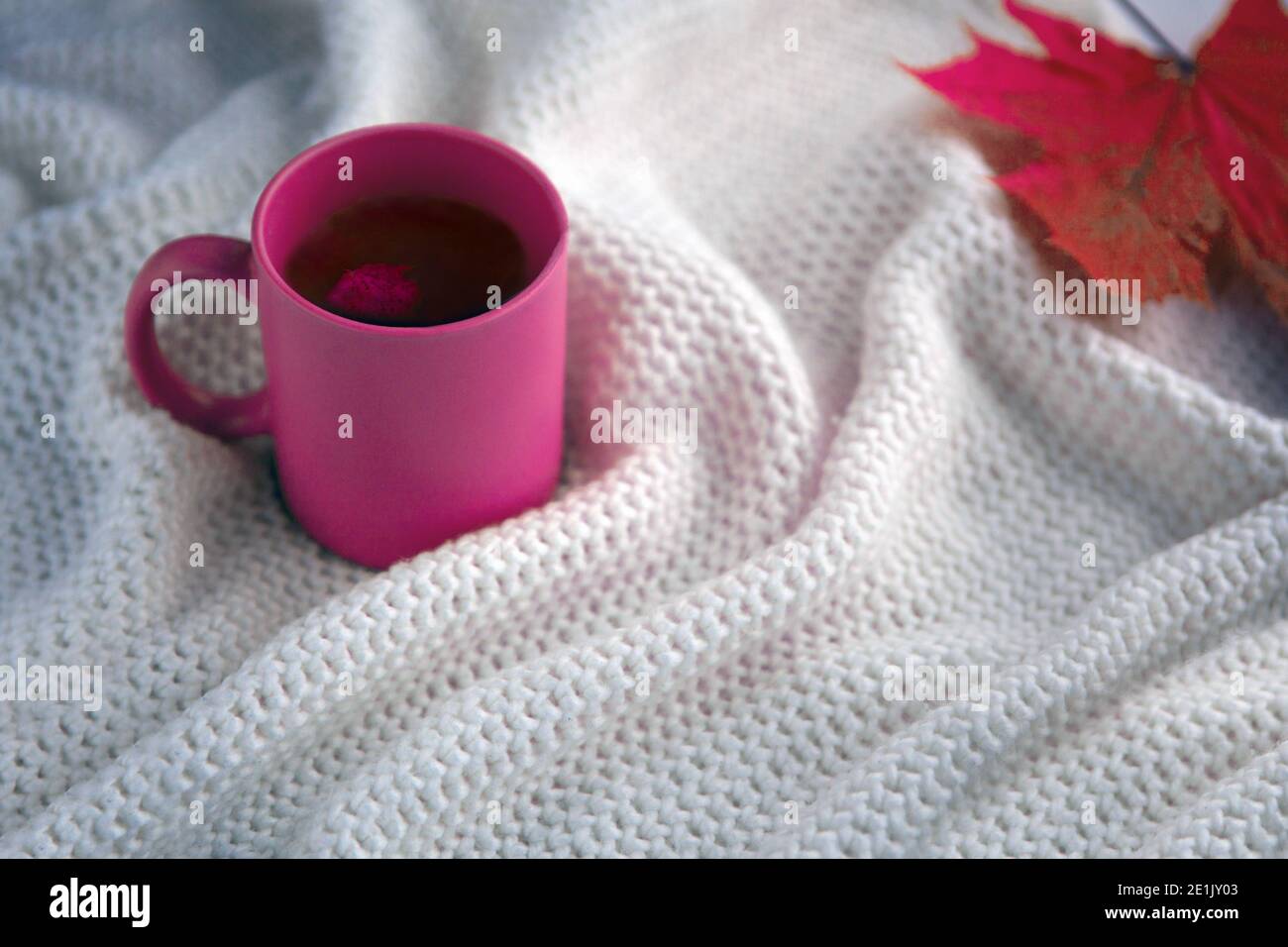 pink tea cup with white scarf background, ceramic cup with autumn leaf, white blanket with hot drink Stock Photo
