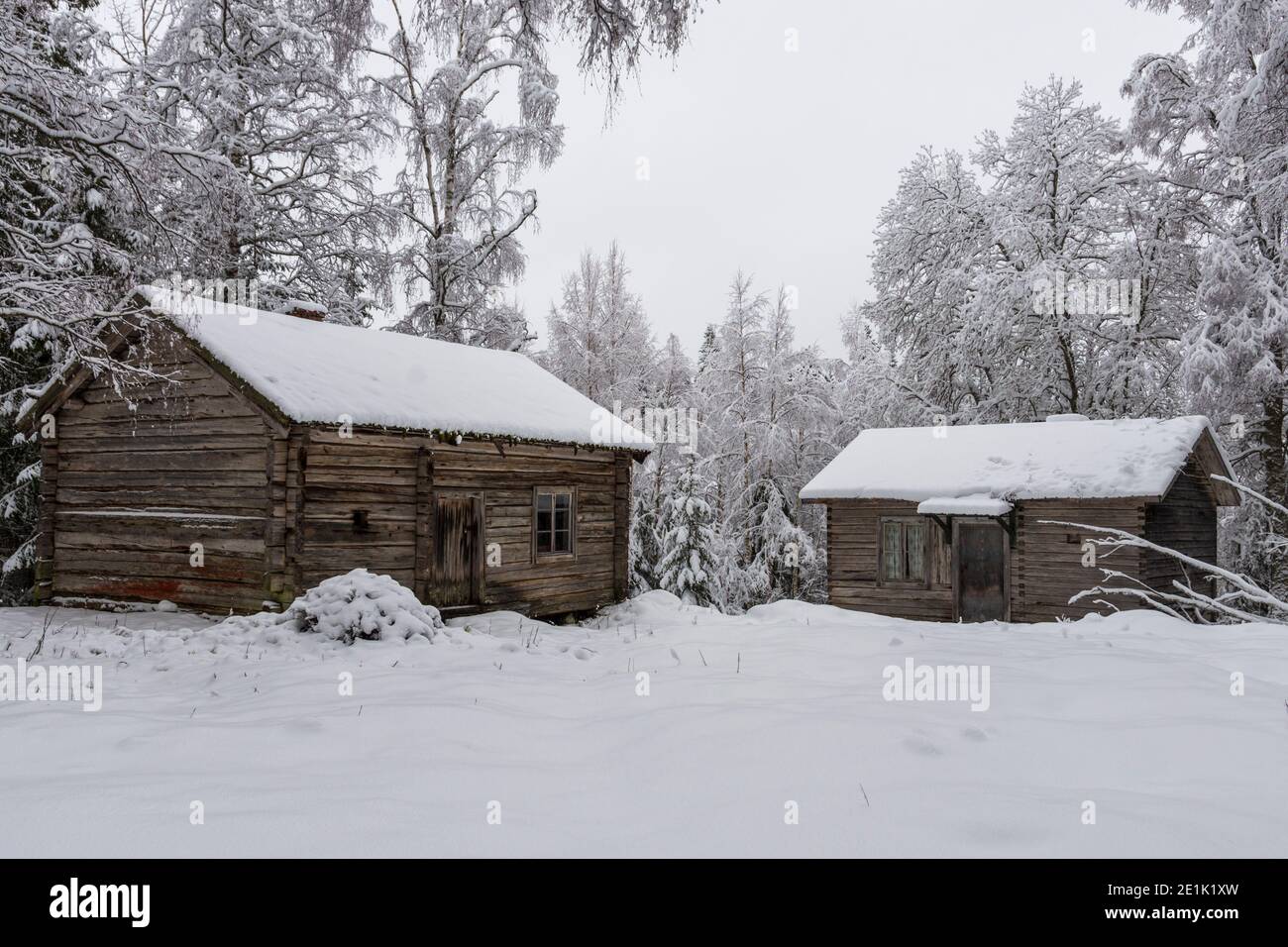 Two old timbered houses in a snowy forest in Vasternorrland Sweden ...