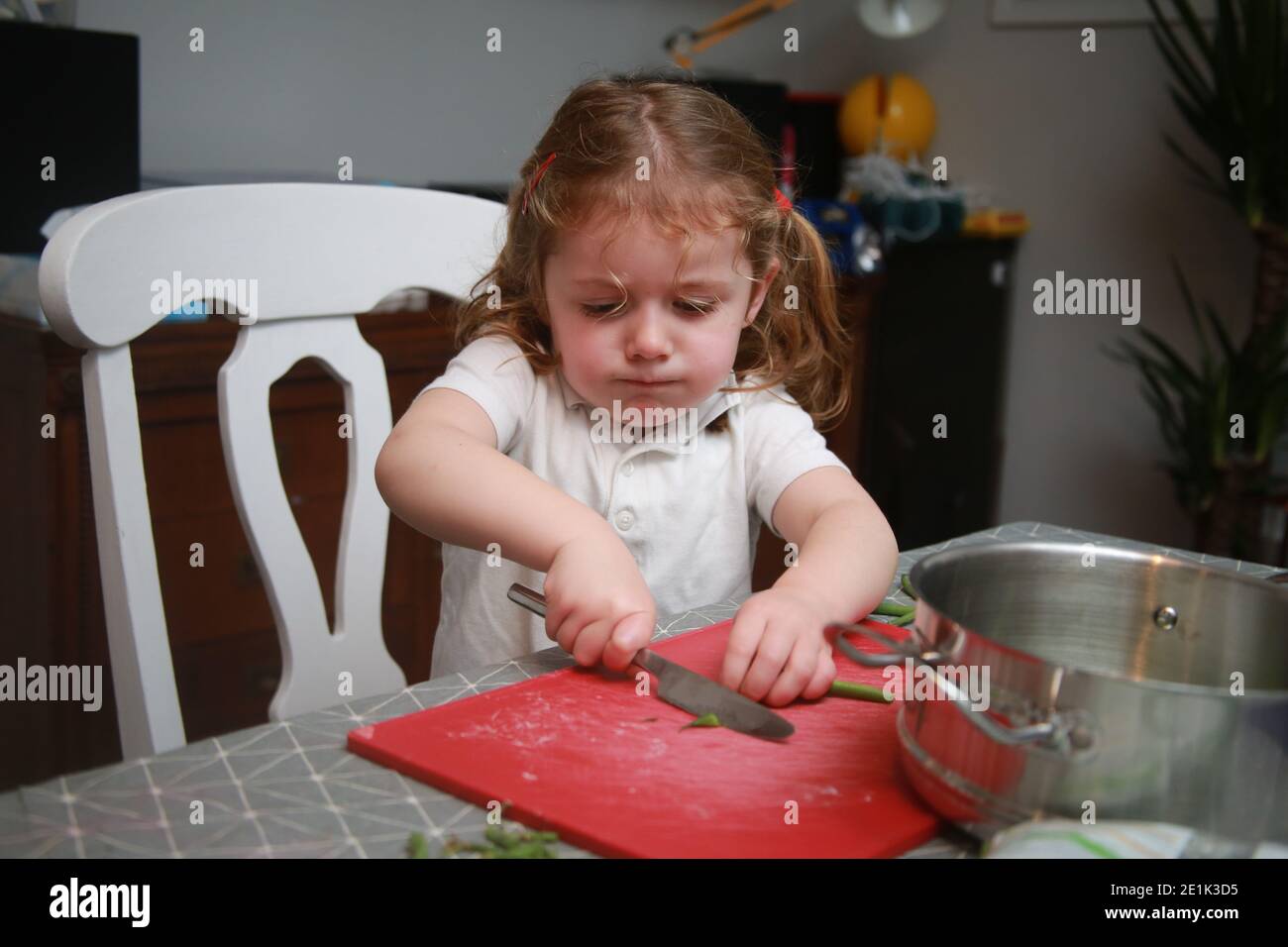 4 year old girl preparing green beans for the family meal, UK Stock Photo