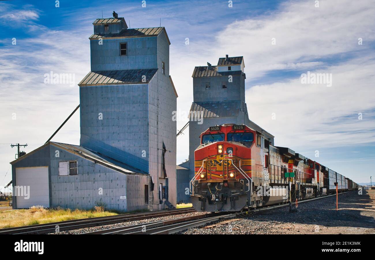 A grain elevator is a tower containing a conveyor, which scoops up
