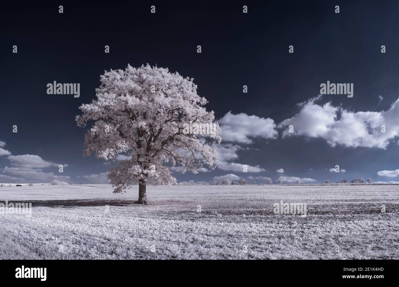 infrared photography - ir photo of landscape with tree under sky with ...