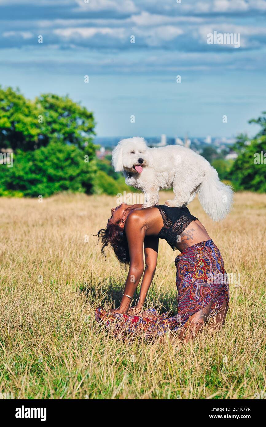 woman doing yoga with her dog .Doga yoga with your dog. Stock Photo