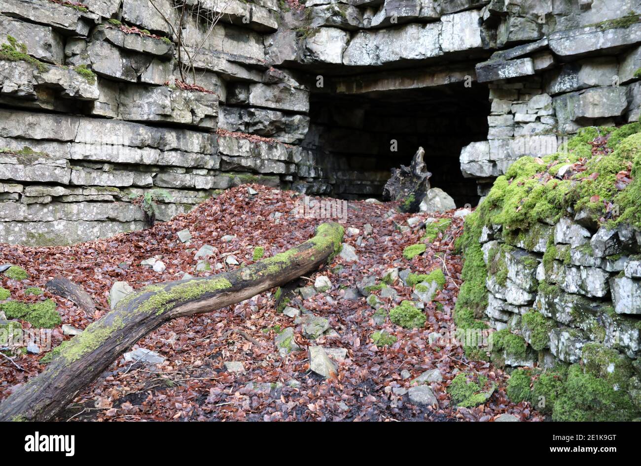 Site of the historic Ashford Black Marble mine at Nettler Dale in the Derbyshire Peak District Stock Photo