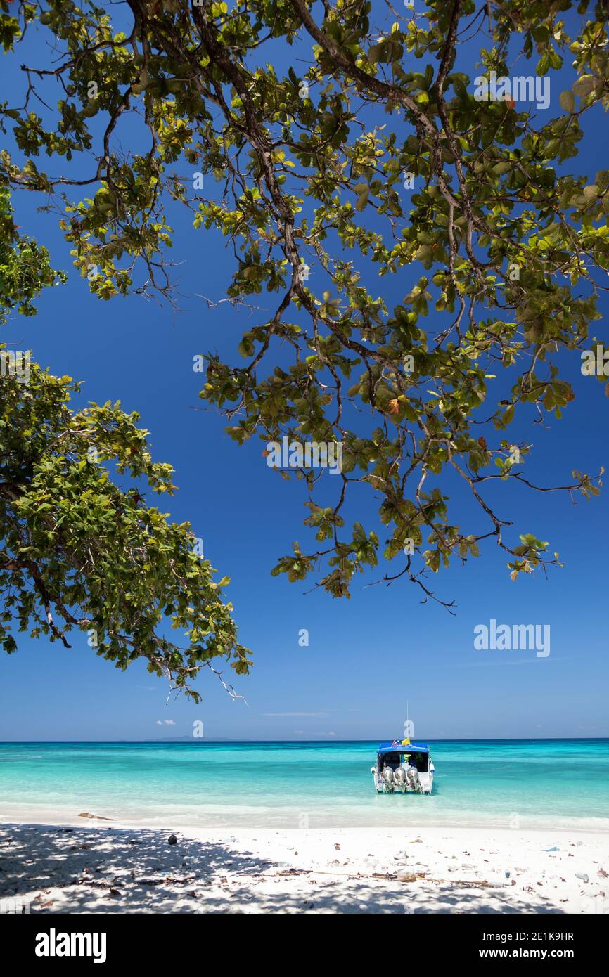 Beach tropicana under clear hi-res stock photography and images - Alamy