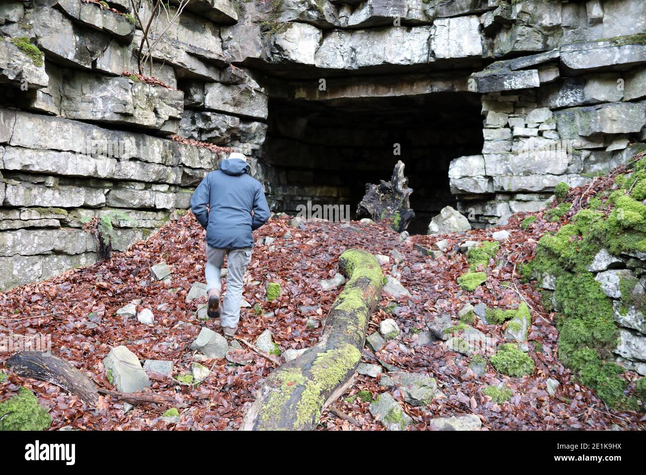 Geologist in Nettler Dale at the site of the historic Ashford Black Marble Mine Stock Photo