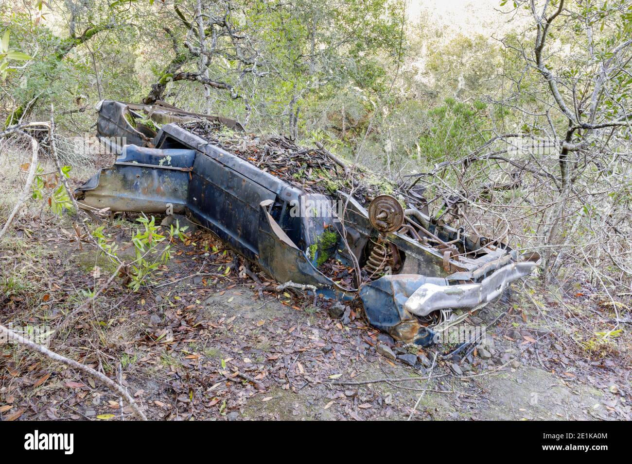 Old Car in the Woods of San Francisco Bay Area, California Stock Photo