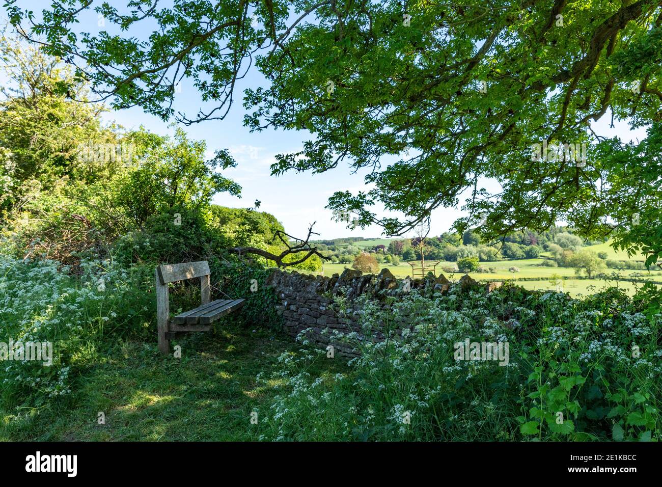 Cow parsley by rustic country bench with far reaching views, a welcome rest during a country ramble in The Cotswolds in Oxfordshire, UK Stock Photo